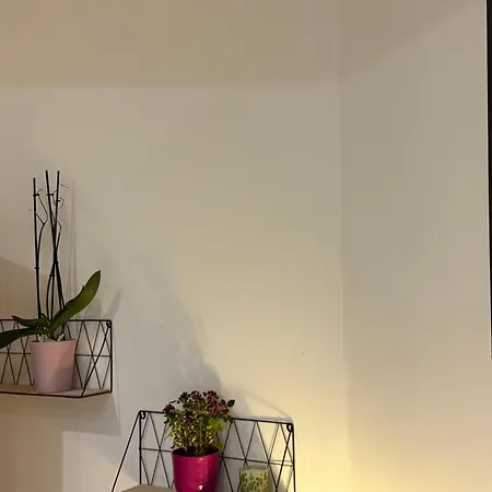 The Garden House *